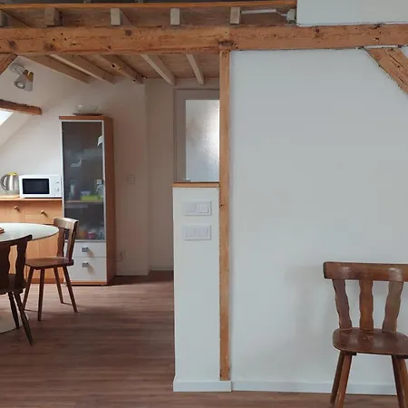 בית אירוח Large Private Near Center With Free Public Parking קולמר