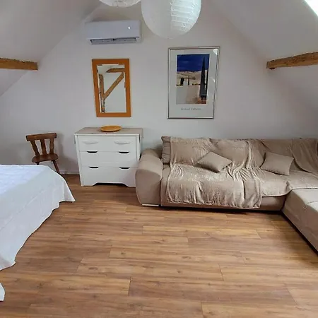 Large Private Near Center With Free Public Parking Habitación en casa particular Colmar