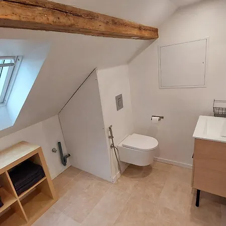 Habitación en casa particular Large Private Near Center With Free Public Parking Colmar