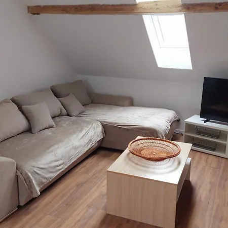 Habitación en casa particular Large Private Near Center With Free Public Parking Colmar