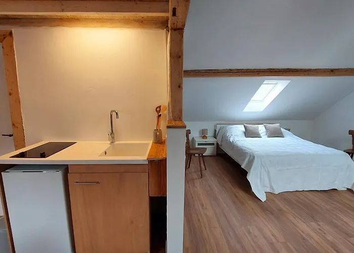 Habitación en casa particular Large Private Near Center With Free Public Parking