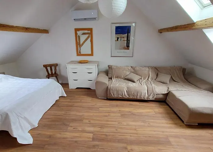 Large Private Near Center With Free Public Parking Habitación en casa particular Colmar